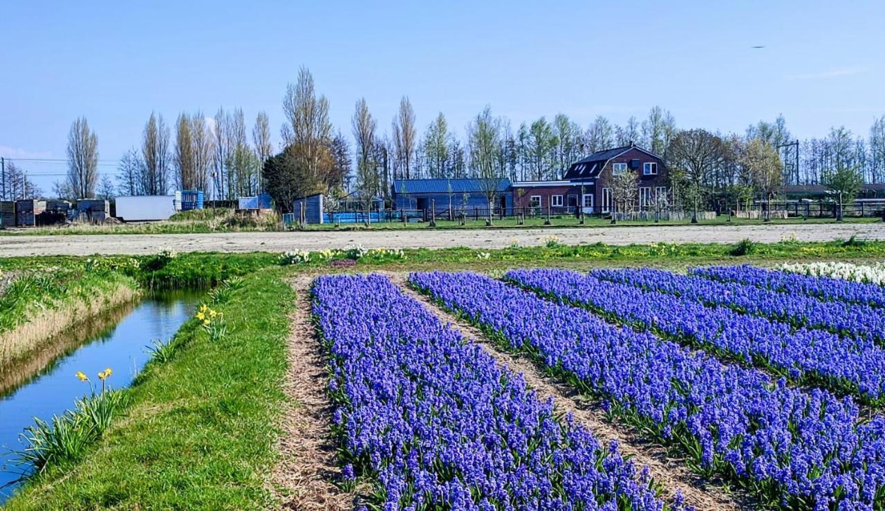 Vila Het Dijkstuk Noordwijkerhout Exteriér fotografie