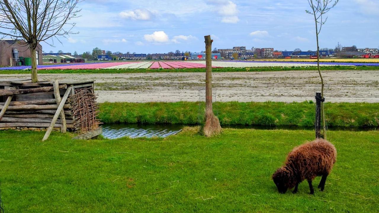 Vila Het Dijkstuk Noordwijkerhout Exteriér fotografie