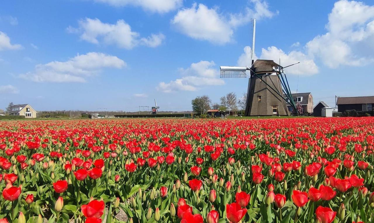 Vila Het Dijkstuk Noordwijkerhout Exteriér fotografie